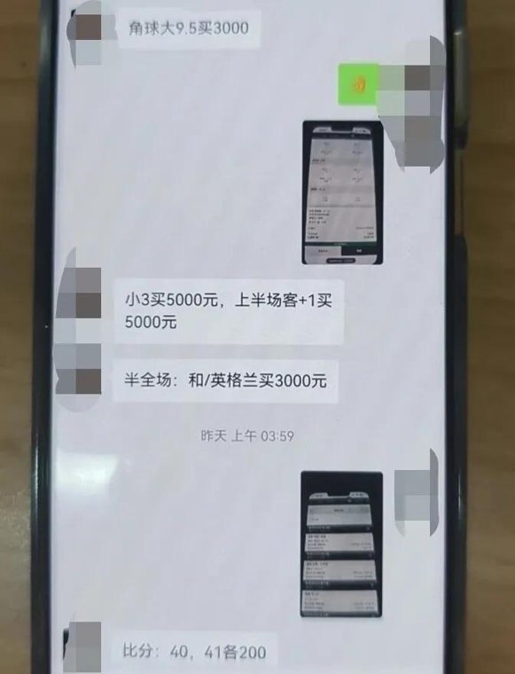 “高赔率”借世界杯开赌局,多人被刑拘!